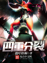 四重分裂漫画封面图片